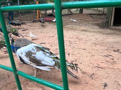 -西湖区图书馆(古墩路)