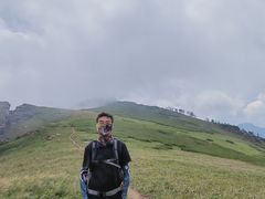 -秦岭风景区