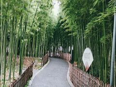 -陈家山荷花公园