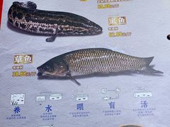 -鱼酷活鱼烤鱼(沈阳大悦城店)