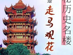 -童学馆·诗书礼乐少儿国学(青年路店)