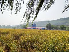 -大连铭湖国际观光牧场