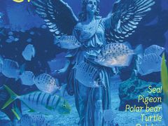-海合安天津极地海洋公园
