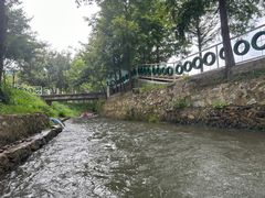 -天目湖松岭竹海漂流