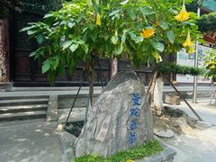 -古大圣慈寺