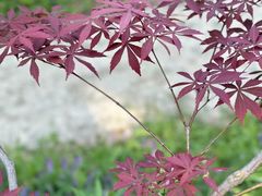 -南京市江宁方山