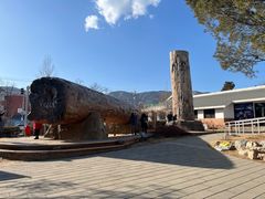 -国家植物园南园