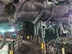 -苏州海洋馆