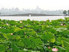 -杭州西湖风景名胜区-北街寻梦