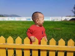 -君乐宝优致牧场
