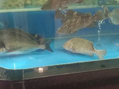-明本湛江鸡•海鲜小厨(陈家祠店)
