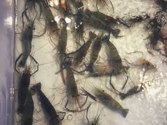 -芭提雅Amporn Seafood自助餐厅
