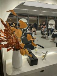 -SalonRivelin 沙龙瑞菱
