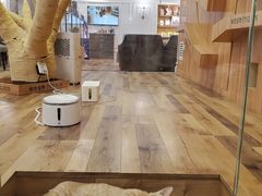 -袖虎·猫馆(体育西路店)