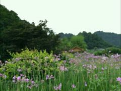 -贵阳市花溪国家城市湿地公园