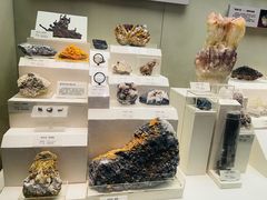 -天津自然博物馆