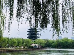 -济南大明湖景区