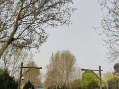 -南宫五洲植物乐园