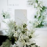 最深情的白绿婚礼