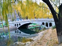 -南长河公园