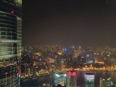 -上海柏悦酒店