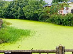 -武汉紫薇都市田园