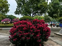 -杭州城北体育公园