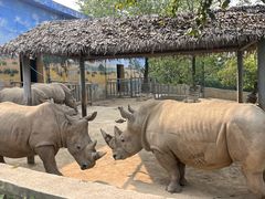 -西安秦岭野生动物园