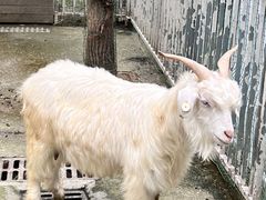 -蓝地时尚庄园(北京清河营地铁站店)