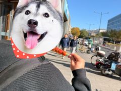 -和禄德冰糖葫芦(东四朝内菜市场店)