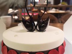 -BLACKSWAN黑天鹅(环球店)