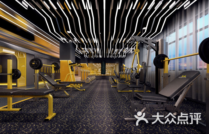 致尚国际健身(moco新世界店)-器械区图片-漯河运动健身-大众点评网