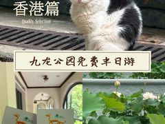 -九龙公园