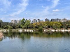 -赤宴·川菜(玉林店)