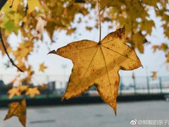 -朝阳体育中心