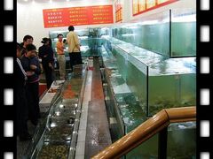 -海岛渔村大酒店(云霄路店)