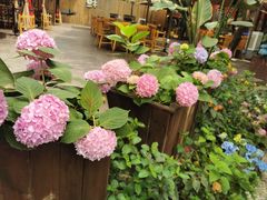 -二荆条·蜀鲜汇城市森林火锅