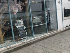 门面-喵屿·大理花园猫咖