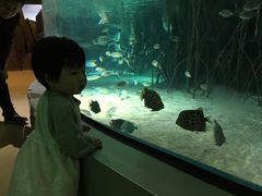 -福州罗源湾海洋世界旅游区