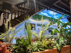 -云海肴·汽锅鸡·云南菜(南强街店)