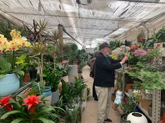 -金陵花卉交易市场