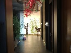 -新紫霞养生·影院足道·SPA(金山区店)