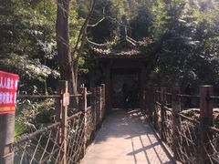 -凤栖山