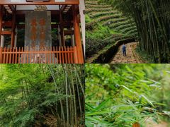 -径山寺
