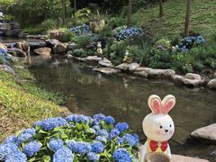 -云溪植物园