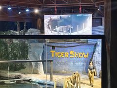 -清迈夜间动物园