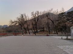 -阳台山自然风景区