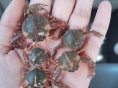 -青岛银沙滩