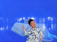 -泉城欧乐堡海洋极地世界