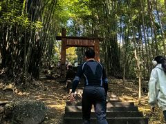 -凤栖山